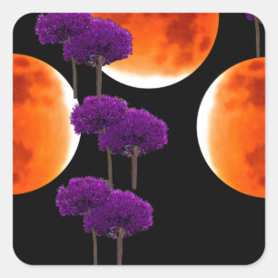 Adesivo Quadrado Intrusão Roxa