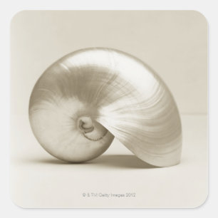 Adesivo Quadrado Invólucro do mar de náuseas