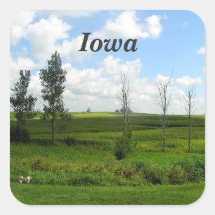 Adesivo Quadrado Iowa