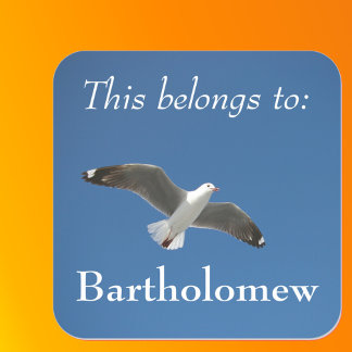 Adesivo Quadrado Isto Pertence à Foto de Gaivota do Céu Azul