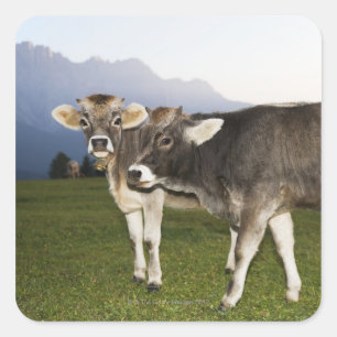 Adesivo Quadrado Itália, Alto Adige