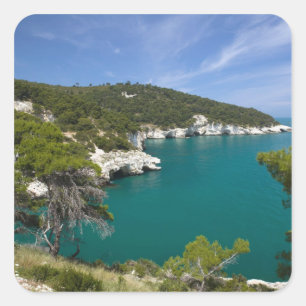 Adesivo Quadrado Itália, Puglia, Promontório do Gargano, Testa