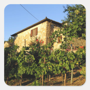 Adesivo Quadrado Itália, Toscana, Greve. Cenas de vinho no final do