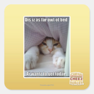 Adesivo Quadrado Iz do Dis como distante o owt da cama.