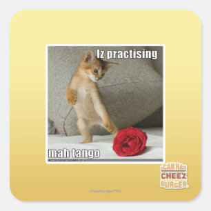 Adesivo Quadrado Iz praticando mah tango