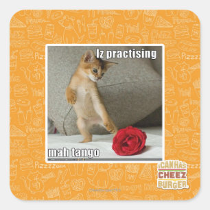 Adesivo Quadrado Iz praticando mah tango