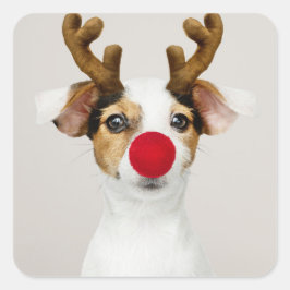 ADESIVO QUADRADO JACK RUSSEL TERRIER COMO REINDEER STICKER
