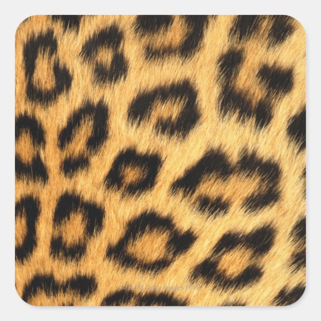Adesivo Quadrado Jaguar fur (Frente)
