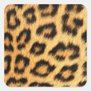 Adesivo Quadrado Jaguar fur