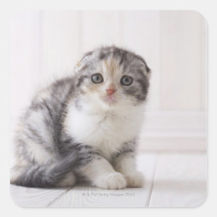 Adesivo Quadrado Japão 5