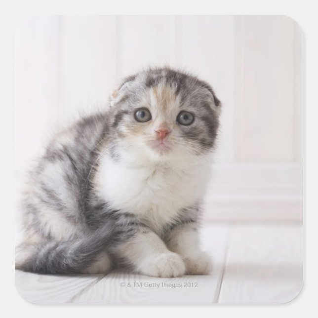 Adesivo Quadrado Japão 5 (Frente)