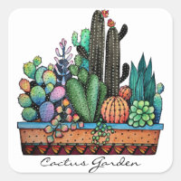 Jardim De Cactus Caquetado Em Pote