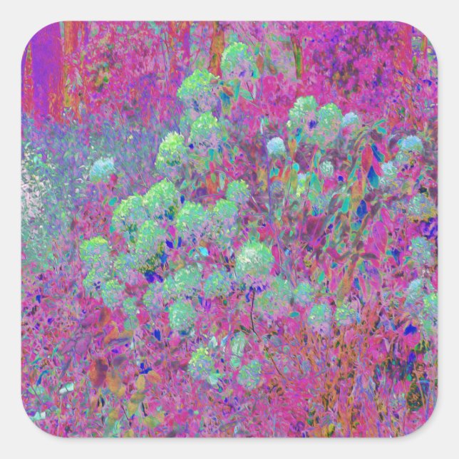 Adesivo Quadrado Jardim Magenta com Flores de Hortênsia Aqua (Frente)