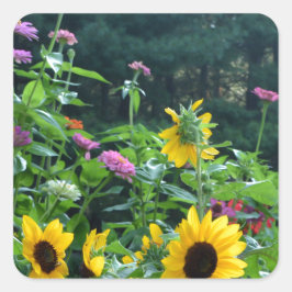 Adesivo Quadrado Jardim, margaridas, cosmos, girassóis