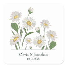 Jardim Selvagem Simples Daisy