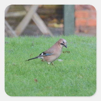 Adesivo Quadrado Jay