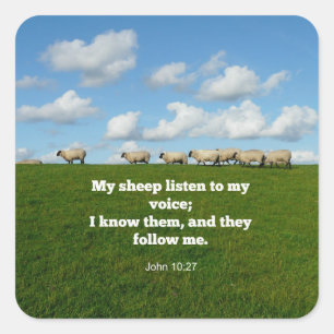Adesivo Quadrado John 10:27, verso das escrituras