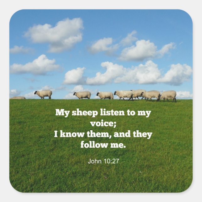 Adesivo Quadrado John 10:27, verso das escrituras (Frente)