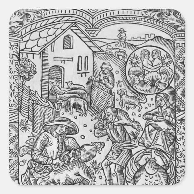 Adesivo Quadrado June, ovelha shearing, Gemini (Frente)