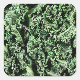 Adesivo Quadrado Kale