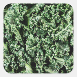 Adesivo Quadrado Kale