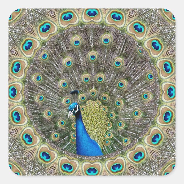 Adesivo Quadrado Kaleidoscope Peacock (Frente)