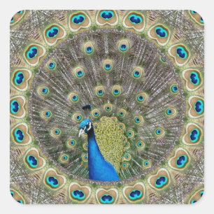 Adesivo Quadrado Kaleidoscope Peacock