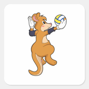 Adesivo Quadrado Kangaroo nos Esportes de Voleibol