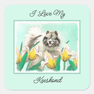 Adesivo Quadrado Keeshond em Tulips pintando lindas artes caninas o