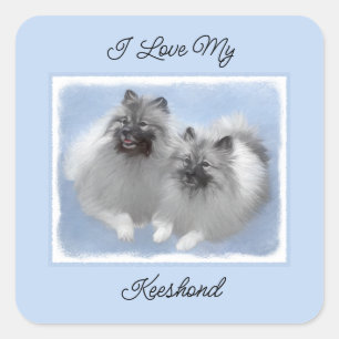 Adesivo Quadrado Keeshond Pair de Kees pintando Arte Animal Origina