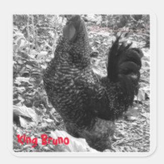 Adesivo Quadrado King Bruno adesker