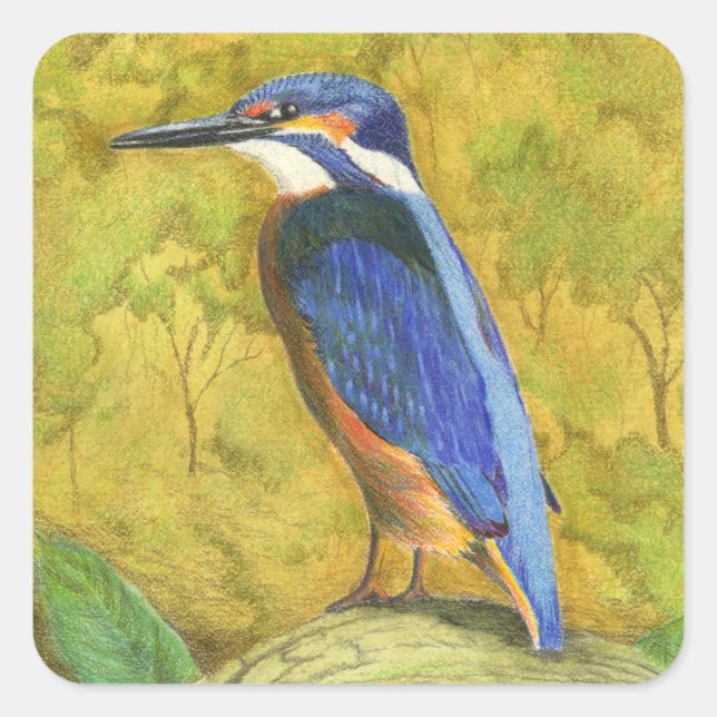 Adesivo Quadrado Kingfisher (Frente)