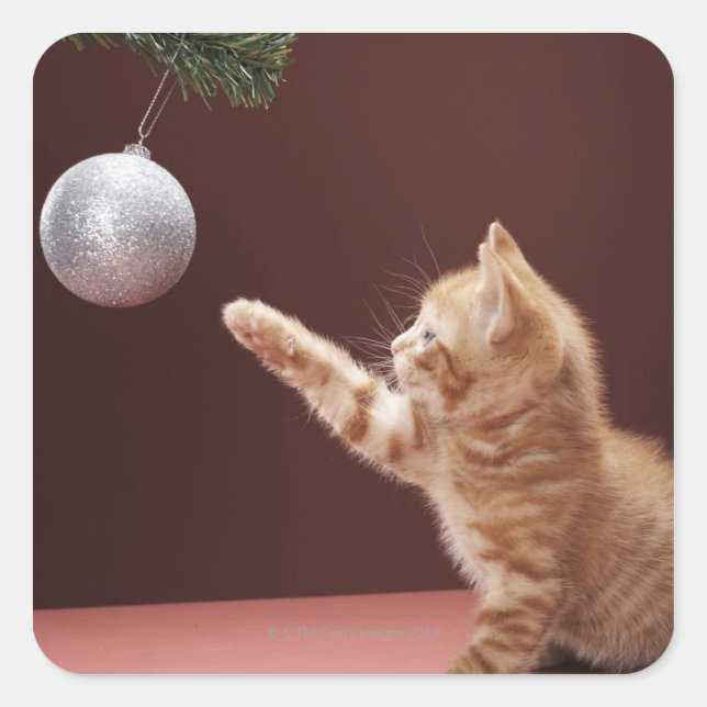 Adesivo Quadrado Kitten brincando com a bola de Natal na árvore (Frente)