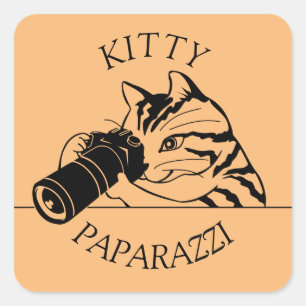 Adesivo Quadrado Kitty Cat Paparazzi - Fotógrafo