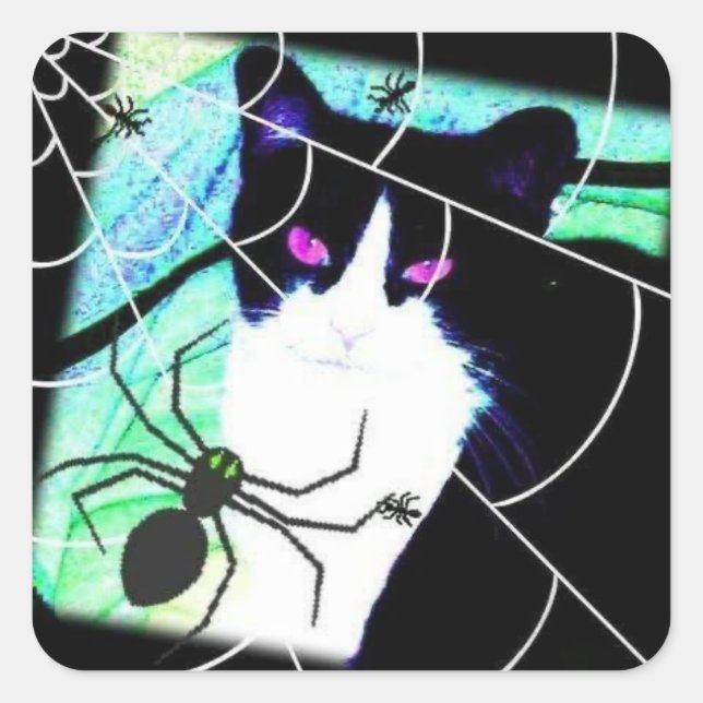 Adesivo Quadrado KittyCatSpiderWeb (Frente)