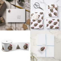 Kiwi Pássaro de Natal Fofo Personalizado com Chapé