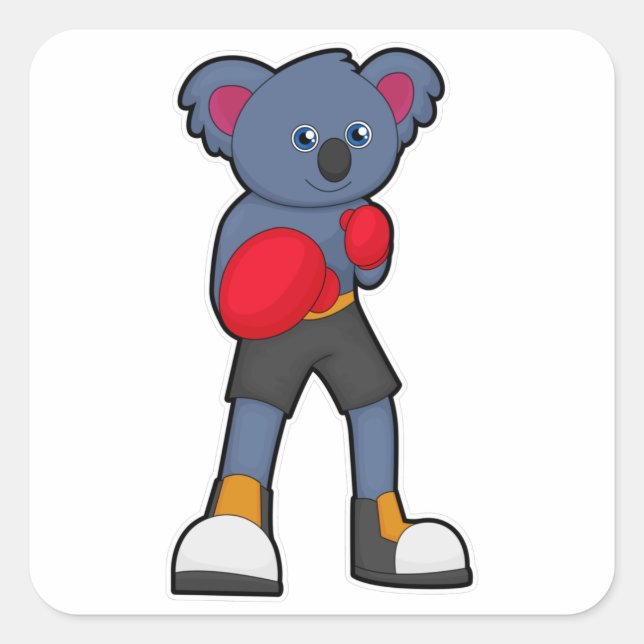 Adesivo Quadrado Koala em Boxing com luvas "in a box" (Frente)