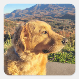 Adesivo Quadrado Kody Sticker