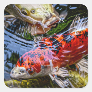 Adesivo Quadrado Koi Fish Pond Japonês
