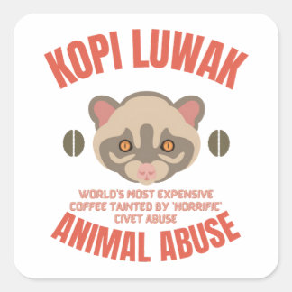 Adesivo Quadrado Kopi Luwak Animal Abus - Café Luwak