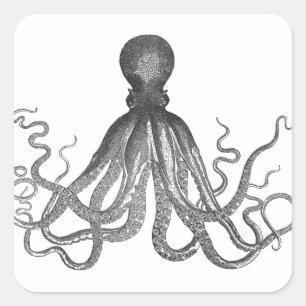 Adesivo Quadrado Kraken - Octopus Gigante Negro / Cthulu