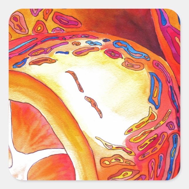 Adesivo Quadrado Kumquats orange fruta (Frente)