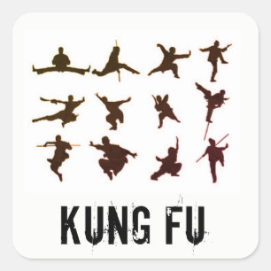 ADESIVO QUADRADO KUNG FU STICKER