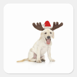 Adesivo Quadrado Lab Puppy Vestindo Antlers