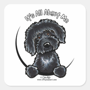 Adesivo Quadrado Labradoodle preto IAAM