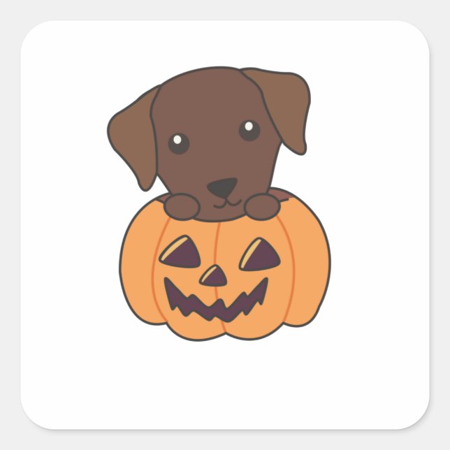 Adesivo Quadrado Labrador Em Cachorros Bons Felizes Halloween (Frente)