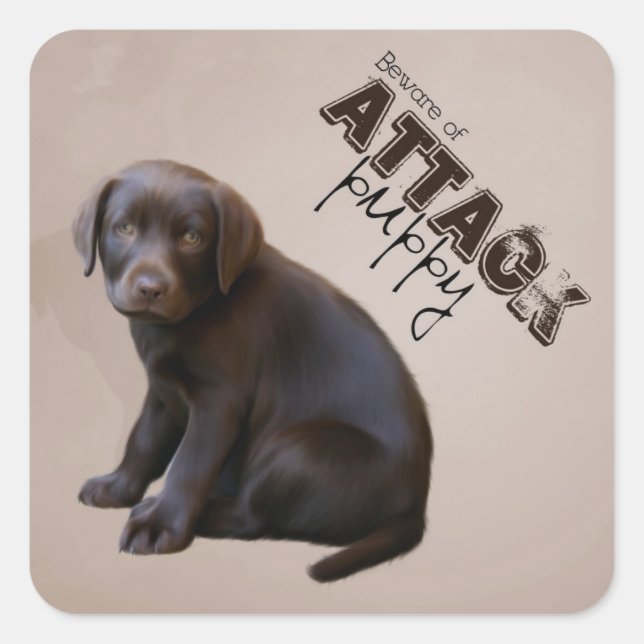 Adesivo Quadrado Labrador Puppy Sticker (Frente)