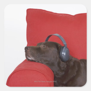 Adesivo Quadrado Labrador que veste os fones de ouvido que