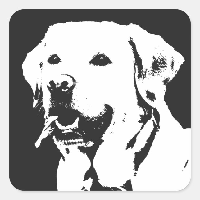 Adesivo Quadrado Labrador Retriever Square Sticker (Frente)