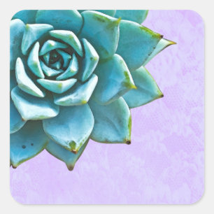 Adesivo Quadrado Lace de Lavanda de Aquarela Suculta